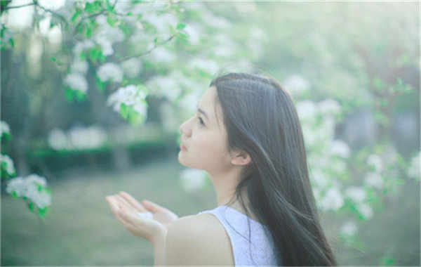 龙川验血查男女几周可以验(验血查男女结果图)